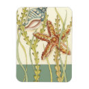 Search for fish magnets Chariklia zarris