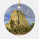 Search for national monument christmas tree decorations Environment