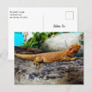 Search for lizard lover postcards Animal