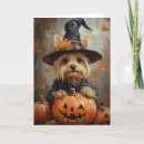 Search for yorkie cards Witch