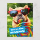 Search for big dogs invitations Funny