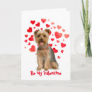 Search for funny yorkie cards Humour