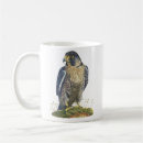 Search for peregrine mugs Falcon
