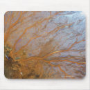 Search for fragile mouse mats Animal