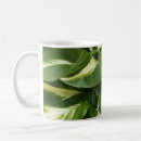 Search for hosta mugs Leaves