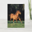 Search for warmblood cards Chestnut