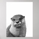 Search for otter posters Portrait