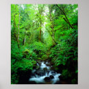 Search for growth posters Green