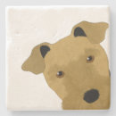 Search for airedale coasters Terriers