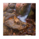 Search for arizona tiles Water