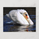 Search for sets postcards Nature