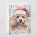 Search for poodle christmas cards Winter
