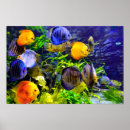 Search for aquatics posters Swim
