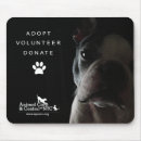 Search for animal care electronics Animals