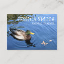 Search for duck business cards Blue