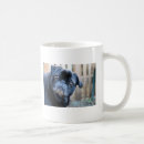 Search for black pug mugs Canine