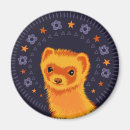 Search for ferret magnets Weasel