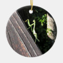 Search for praying mantis christmas tree decorations Nature