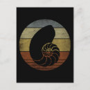 Search for nautilus postcards Sand