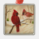 Search for redbird Snow