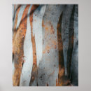 Search for gum tree posters Bark
