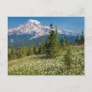Search for avalanche postcards Alpine