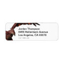 Search for beast return address labels Wizarding wold