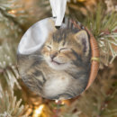 Search for domestic shorthair cat christmas tree decorations Animal