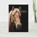 Search for blank horse cards Equine
