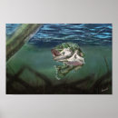 Search for largemouth posters Water