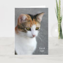 Search for calico cat cards Pretty