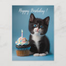 Search for tux kitten cards Adorable