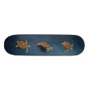 Search for turtle skateboards Dolphin