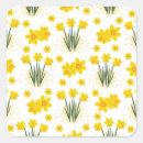 Search for jonquil flower stickers Narcissus