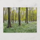 Search for spring landscape cards Europe