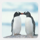 Search for two penguins stickers Cute animals