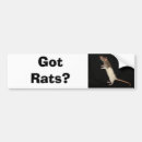 Search for rat bumper stickers Mice