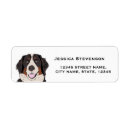 Search for mountain dog return address labels Bernese