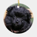 Search for black pomeranian christmas tree decorations Dwarf spitz
