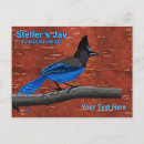 Search for jay postcards Blue