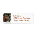Search for quarter horse return address labels Horses