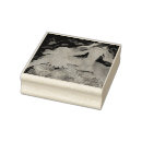 Search for cloud rubber stamps Sky