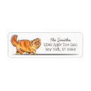 Search for orange tabby cat return address labels Cats