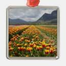 Search for tulip christmas tree decorations Nobody