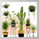 Search for oasis posters Plant