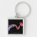 Search for dna key rings Genetic