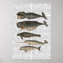 Search for vintage whale posters Steampunk