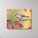 Search for bird watcher canvas prints Birds and blooms