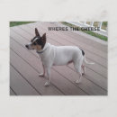 Search for terrier horizontal postcards Puppy