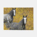 Search for horse doormats Photography